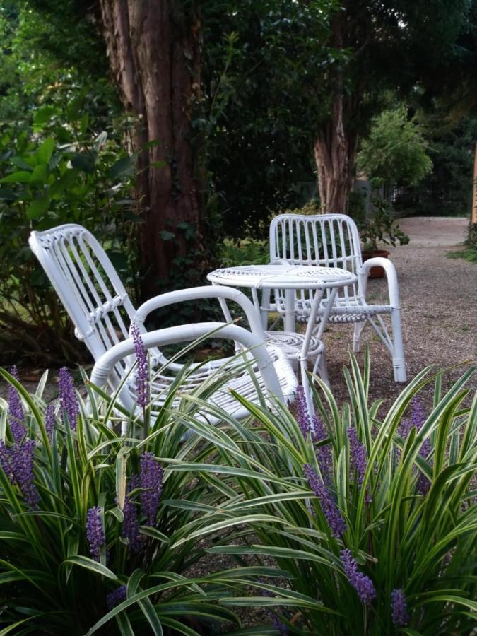 B&B il Cortile Malpensa Casorate Sempione Exterior foto